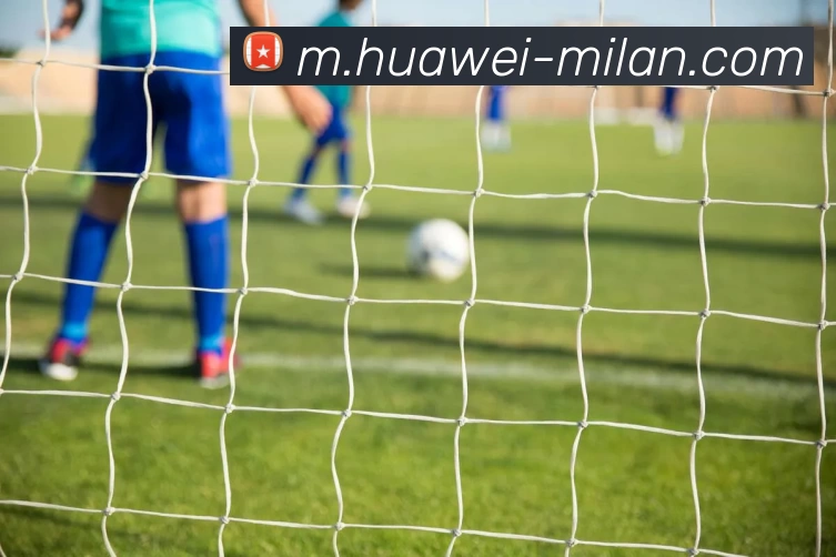 米兰体育APP 封面图